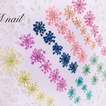 NEW❤︎レースフラワーの押し花❤︎ 8colorセット❤︎