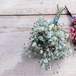 かすみ草のドライフラワー 水色 １束