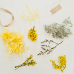 再販★ ハーバリウム花材キット yellow&gray