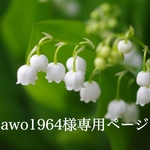misawo1964様専用ページ♡