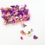 再販newスターチスのドライフラワー（ミックス）