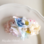 Miyalie clip C3-4
