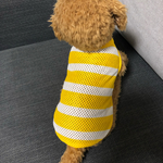 犬服！Sサイズ♡メッシュボーダーイエロー