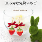 【再販】真っ赤な完熟いちご ピアス