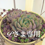 Pさま専用ページです