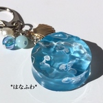 *小さな丸い海（クラゲの群れ）シェル