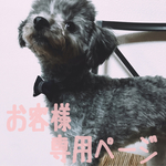 お客様専用ページ