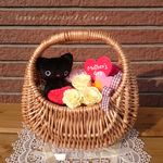 【プリザーブドフラワー】母の日 クロネコバスケット