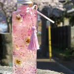 【再販】桜ハーバリウム ～ 花ロマン ～ 2023'今期新花 手作り花かんざしのプレミアムハーバリューム～（無料ラッピングあり）