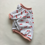胴52cmおリボンTシャツ/フレブル、パグ、犬服、ハンドメイド、フレンチブルドッグ