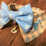 お試し価格！犬・猫　約27～29　cocoちゃんフリルチョーカーNEO　ブルーチェック・マリン・お魚