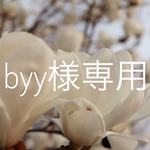 byyuco様専用たっぷりミモザのスワッグ、アジサイリースL