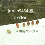 junko5454 様  order 専用ページ