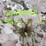 aya様専用です☆彡.。