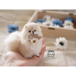 ティーカップポメラニアンの赤ちゃん ハンドメイドマーケット Minne