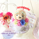 母の日 トイプードル プリザーブドフラワー