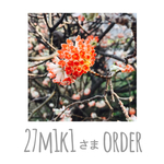 27m1k1様専用