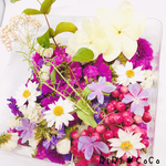 紫陽花ハーバリウムアソート♥
