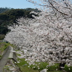 【　y さま　ご注文のお品たち♬　】
