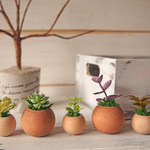 【特集掲載】コロコロ植木鉢 コンビ 5個セット