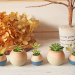 コロコロ植木鉢 ツートンブルー5個セット.
