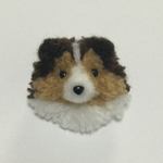ポンポン シェルティ 子犬