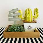 ニットサボテン🌵
