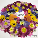 ♡new♡ 送料無料！¥1580 ♡たっぷり押し花セット♡