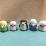 ミニミニ小鳥ちゃんファイブ  ②