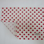 ランチョンマット2点セット《ねこたま》