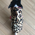 大阪おばちゃん風