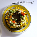cebe様 専用ページ
