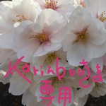 オリジナルオーダー表札