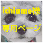 ichiume様専用ページ