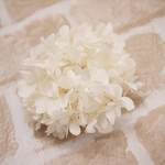 【単品】紫陽花プリザーブドフラワー「オフホワイト」