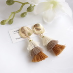 ＊再販2＊大ぶり earth color グラデーション イヤリング/ピアス