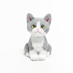 コルクのグレー白子猫