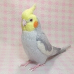 ライフサイズ♪ オカメインコ ノーマル♂★ライトグレー  Wool figure Real size cockatiel Stuffed wool  羊毛インコ 鳥のオブジェ リアルバード  受注製作