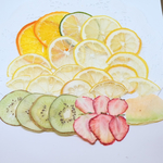 《送料無料》押しフルーツ 押し花 B品セット①