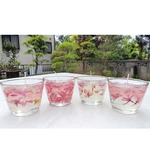 桜ジェルキャンドル