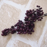 ペッパーベリーパープル　(大地農園）