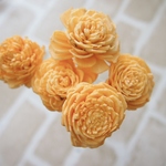 ソーラーローズ　ジュリアオレンジ　5本