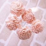 ソーラーローズ　エンジェルピンク　5本