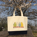 コットントートSマメルリハ