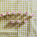 pirikara様  ＊オーダー品＊