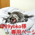 3289yoko様専用ページ