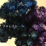 nf-laulea様 専用