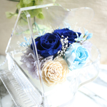 【再販×5】エルピアノ〜ロサアスル〜