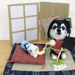 (akamotosei様オーダーのお品)黒チワワ金太郎