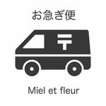 お急ぎ便